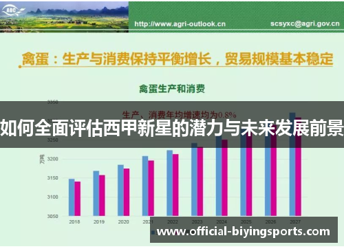 如何全面评估西甲新星的潜力与未来发展前景