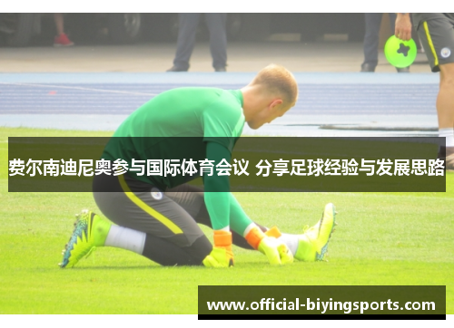 费尔南迪尼奥参与国际体育会议 分享足球经验与发展思路 费尔南迪尼奥参与国际体育会议 分享足球经验与发展思路